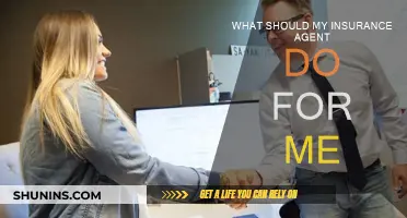 Insurance Agent: Your Guide and Protector