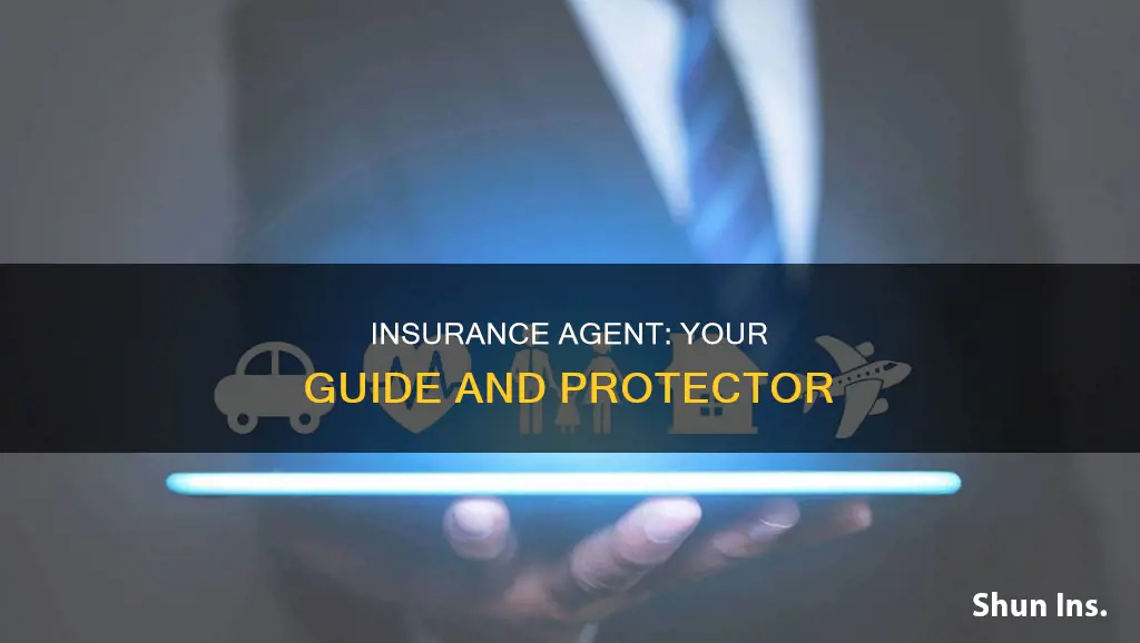 what should my insurance agent do for me
