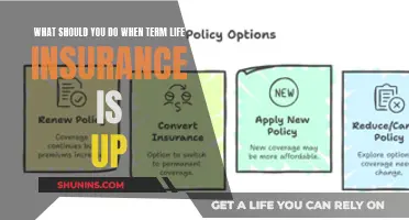 Beyond Term Life: Navigating Insurance Choices After Your Policy Ends