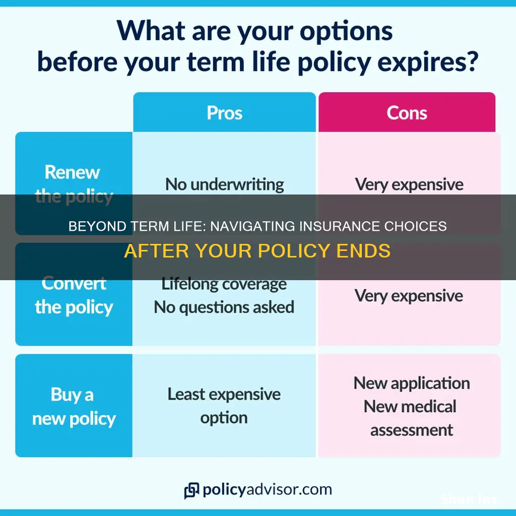 what should you do when term life insurance is up