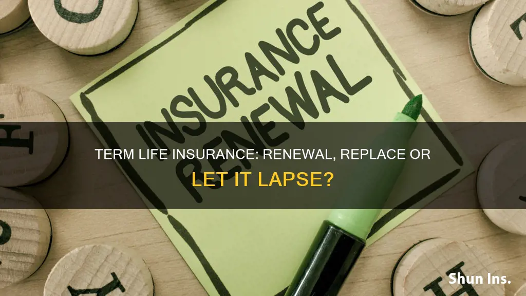 what should you do when term life insurance is up