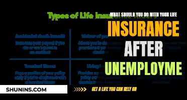 Life Insurance: Managing Policies After Job Loss