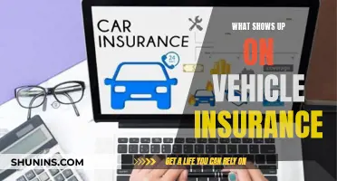 Vehicle Insurance: What's Covered and What's Not