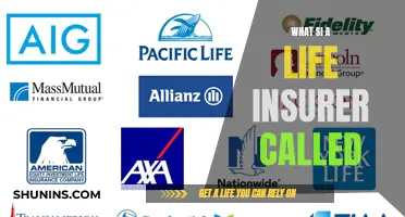 Unveiling the Name: What's a Life Insurer Called?