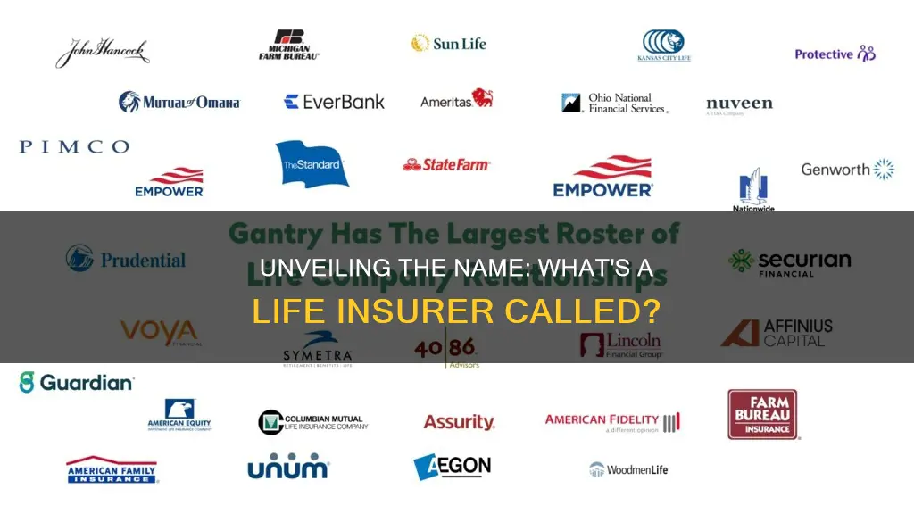 what si a life insurer called