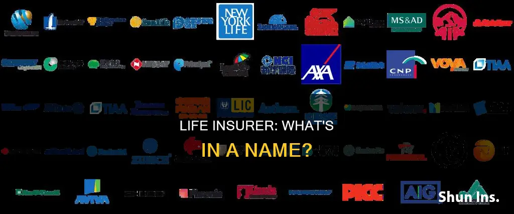 what si a life insurer called