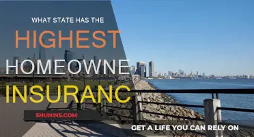 Homeowners Insurance: Which State Pays the Most?