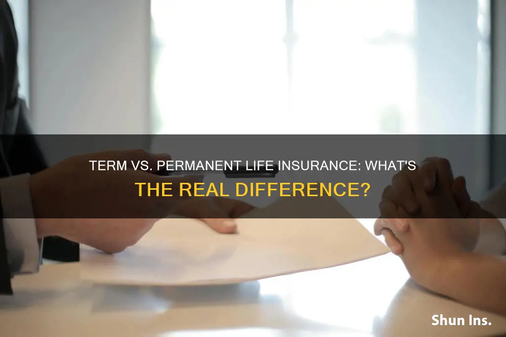 what statement most accurately compares term and permanent life insurances