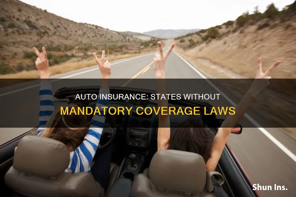 what states do not have mandatory auto insurance