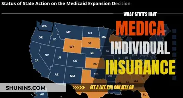 Individual Health Insurance: Which States Offer Medicaid?