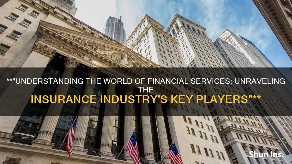 what term describes financial institutions that deal with insurance