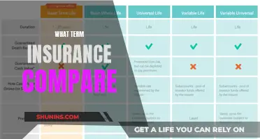 Term Insurance Comparison: Unraveling the Fine Print for Smart Choices