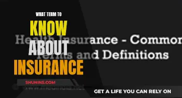 Understanding Insurance: Key Terms to Navigate the World of Coverage