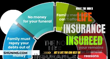 Understanding Index Life Insurance: What It Covers and How It Works