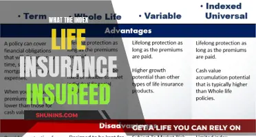 Understanding Index Life Insurance: What's Covered and Insured?