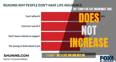 Understanding Level Term Life Insurance: A Comprehensive Guide