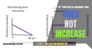 Understanding Level Term Life Insurance Policies and Their Benefits