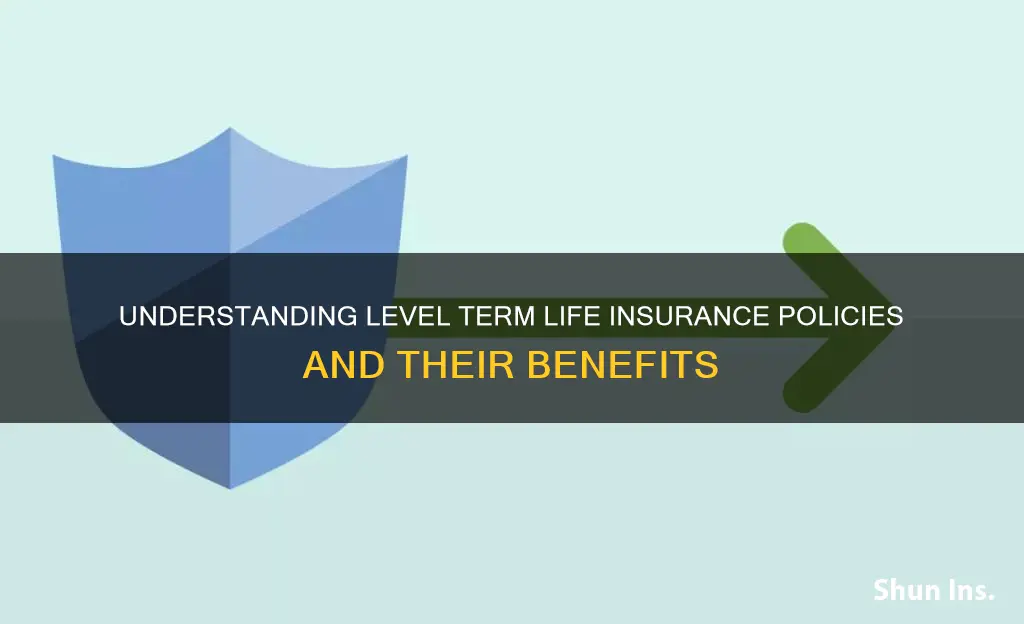 what the term for life insurance that does not increase