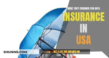 Auto Insurance in the USA: What Factors Affect Your Premiums?