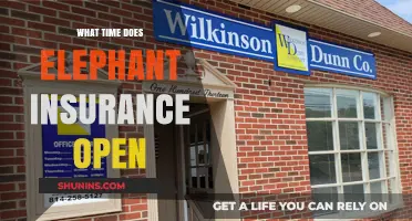 Elephant Insurance Opening Hours: Everything You Need to Know