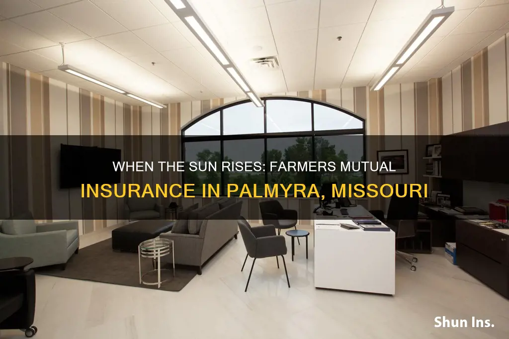 what time does farmers mutual insurance in palmyra missouri opens