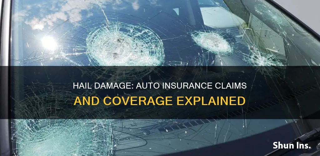 what time of claim in auto insurance is hail damage