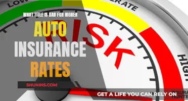 Auto Insurance: Higher Rates and the Titles to Avoid