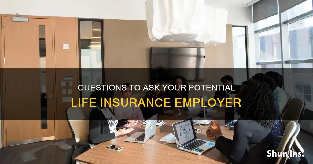 what to aks for a life agent insurance job