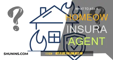 Essential Questions to Ask Your Home Insurance Provider