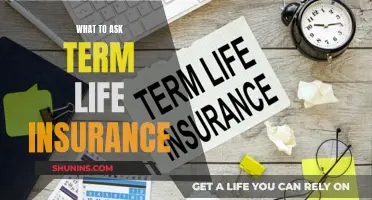 Term Life Insurance: Questions to Ask Before Buying