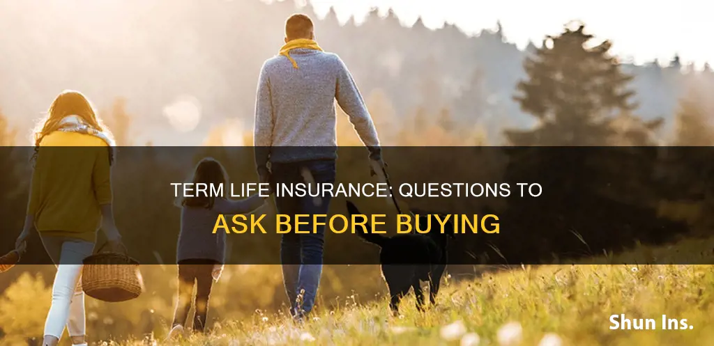 what to ask term life insurance