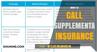 Supplemental Insurance: What's in a Name?