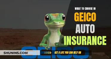 Navigating Geico Auto Insurance: Choosing the Right Coverage