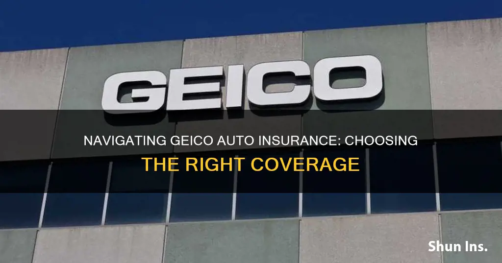 what to choose in geico auto insurance