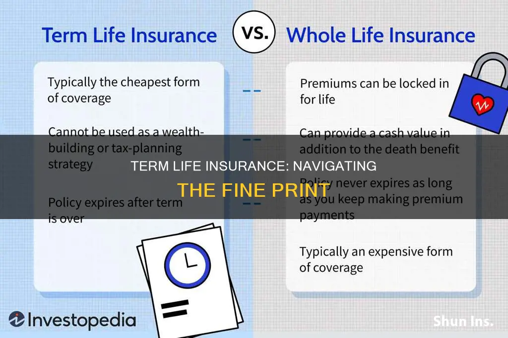 what to consider when signing for term life insurance