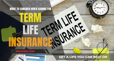 Term Life Insurance: Key Considerations Before Signing Up