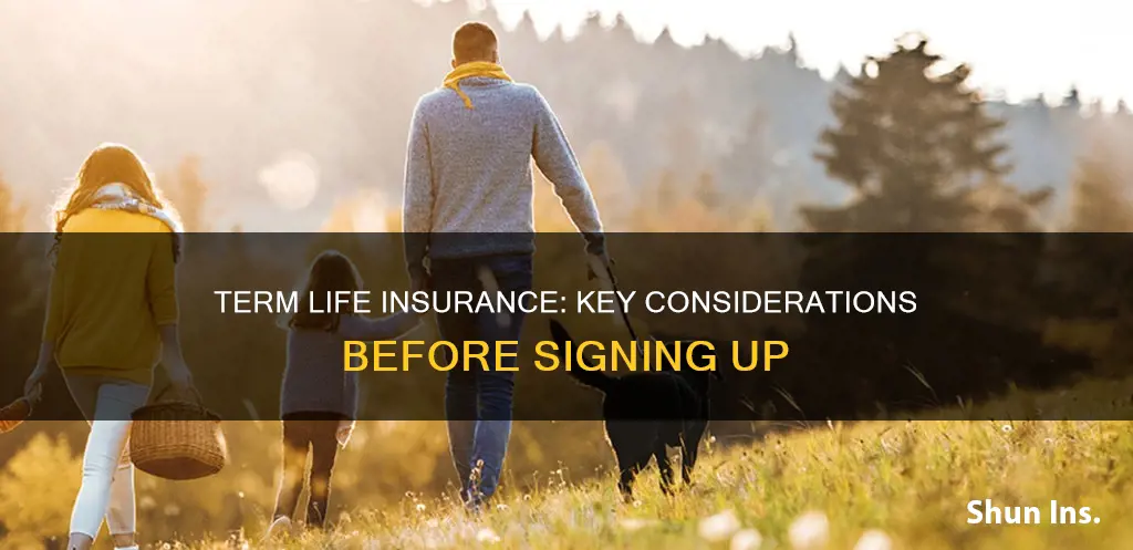 what to consider when signing for term life insurance