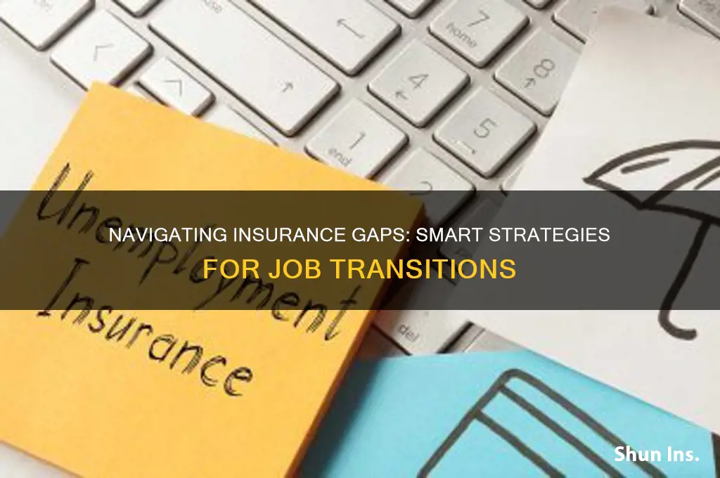 what to do about insurance between jobs