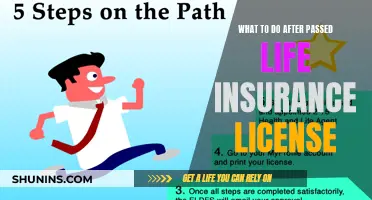 Navigating Post-License Life: Your Next Steps in Insurance