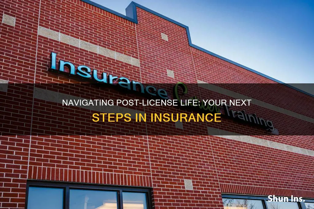 what to do after passed life insurance license