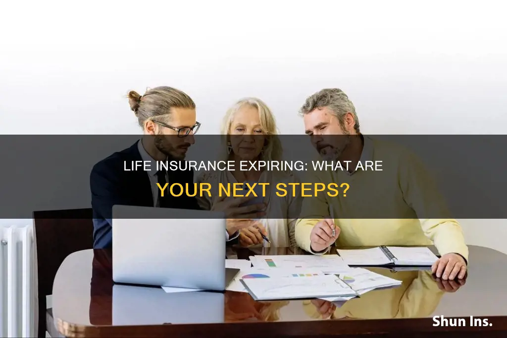 what to do after term life insurance expires
