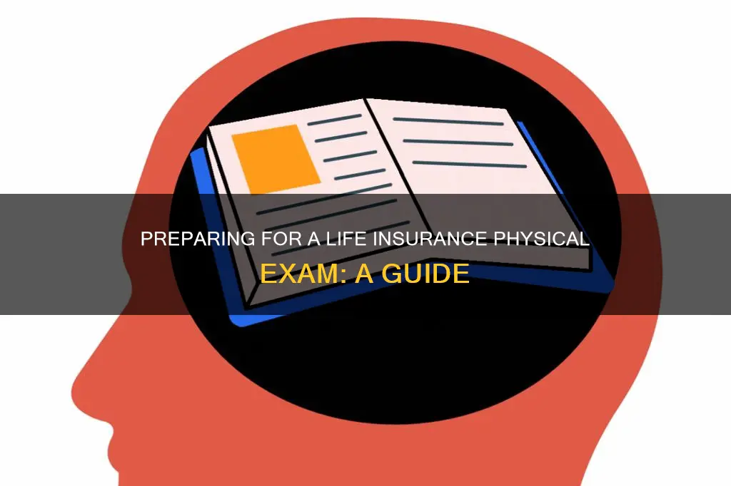 what to do day before physical exam for life insurance