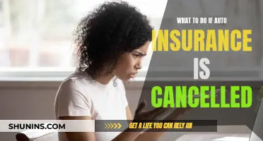 Auto Insurance Cancelled: Steps to Take Now