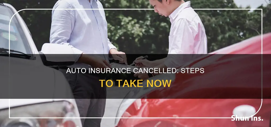 what to do if auto insurance is cancelled