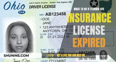 Revive Your Florida Insurance Career: Expired License Solutions