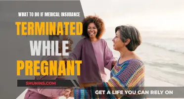 Navigating Pregnancy: Options After Losing Medical Insurance