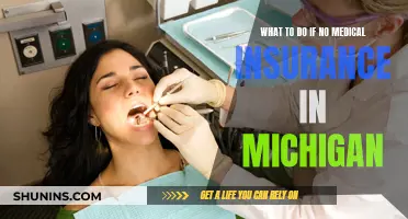 Navigating Healthcare in Michigan Without Insurance