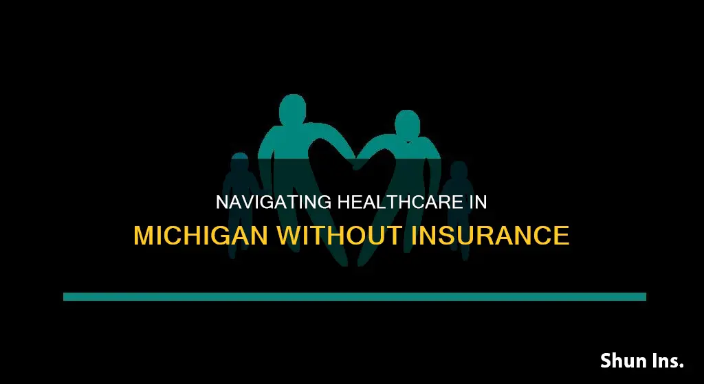 what to do if no medical insurance in Michigan