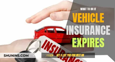 Vehicle Insurance Expired? Here's What to Do