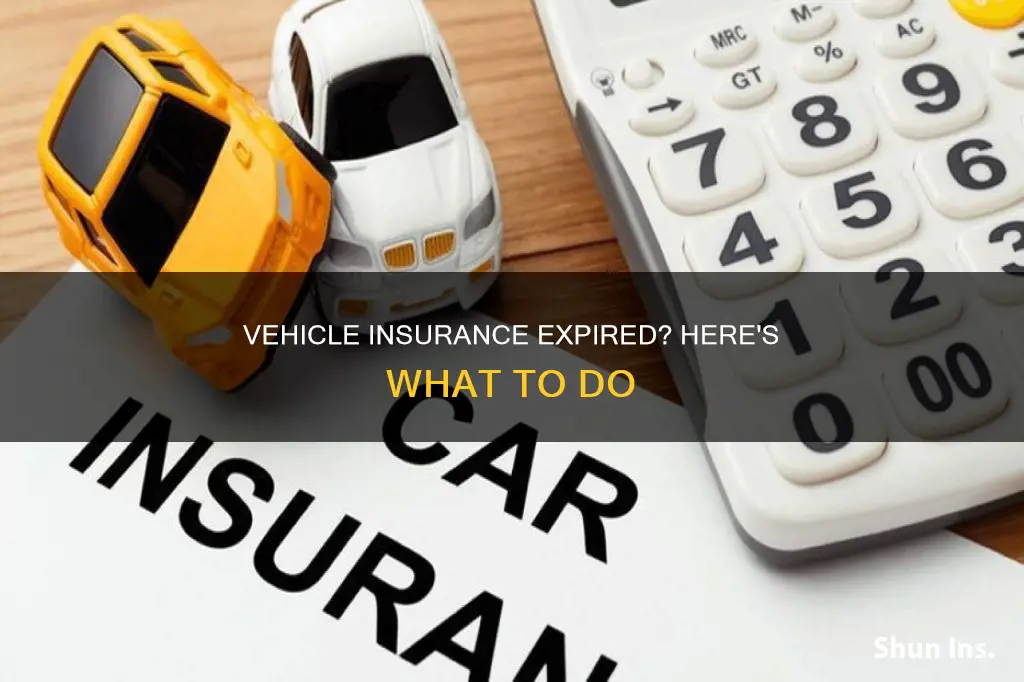 what to do if vehicle insurance expires